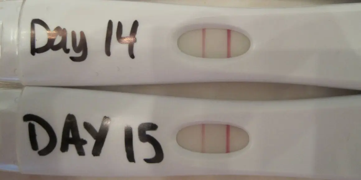 Test d'ovulation: venez découvrir son guide ultime I Plusbaby