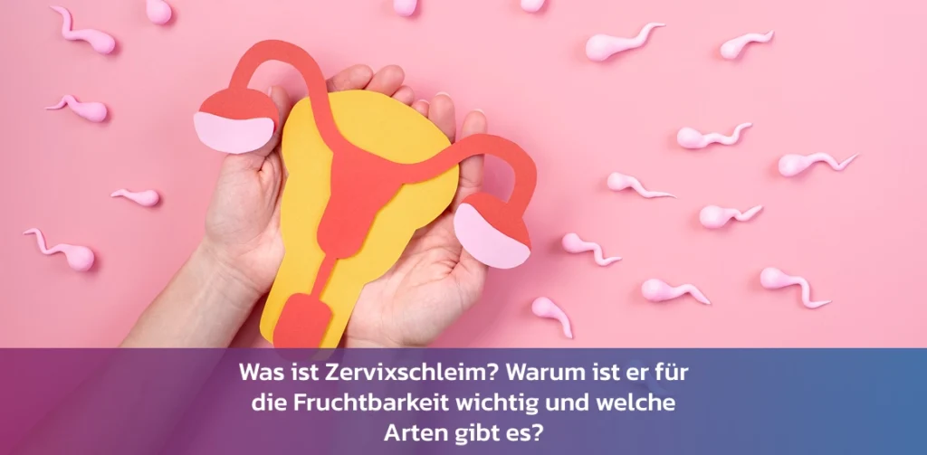 Arten von Zervixschleim und ihre Rolle für die Fruchtbarkeit