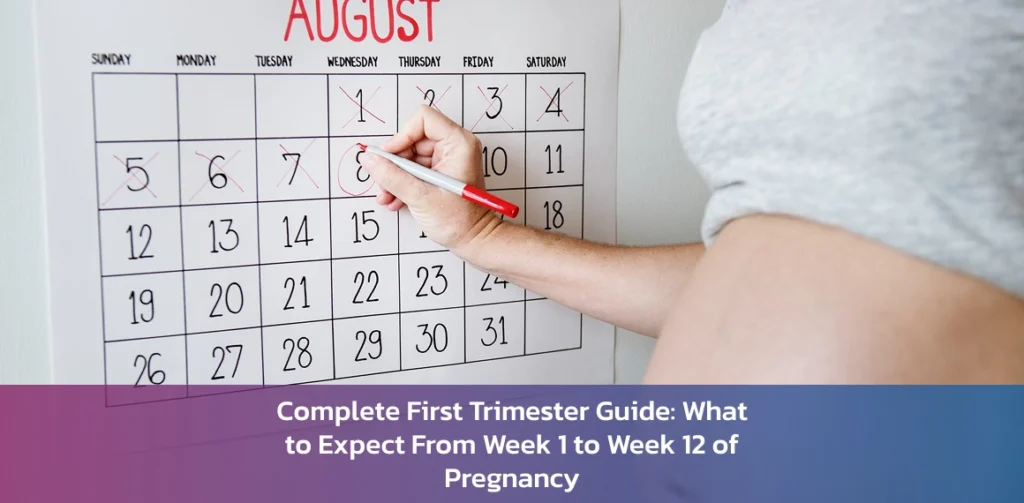 First Trimester Pregnancy Guide: What to Expect During Weeks 1 to 12