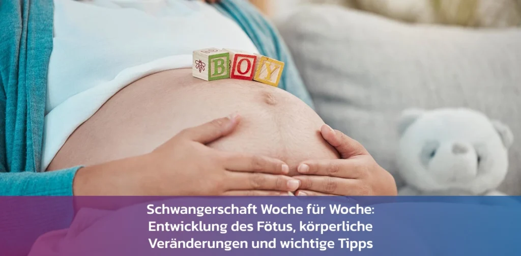 babywachstum woche fuer woche