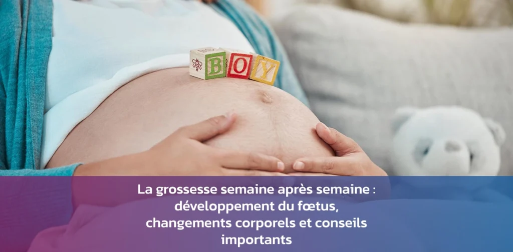 croissance du bébé semaine par semaine pendant la grossesse