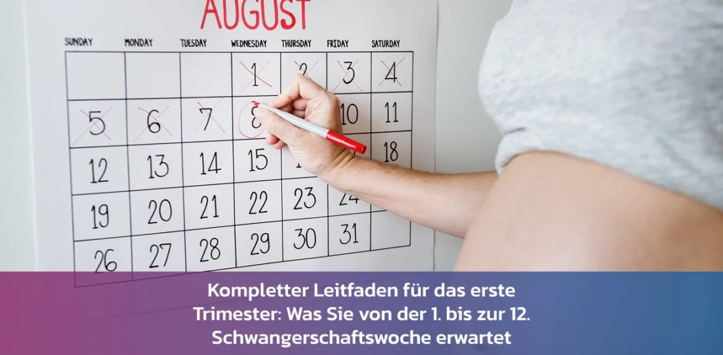 leitfaden erstes schwangerschaftstrimester 1-12 woche