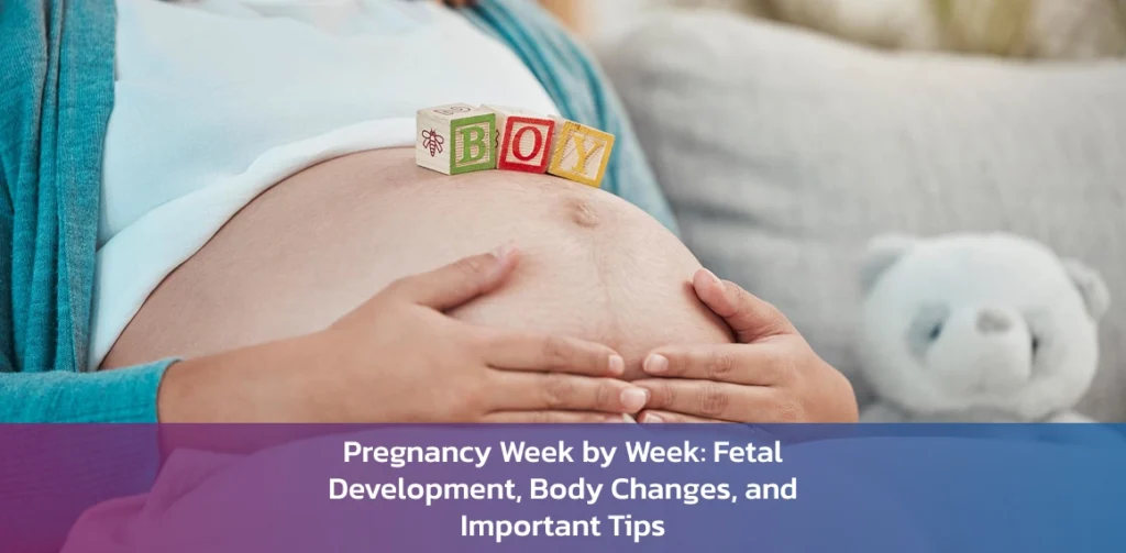 pregnancy week by week baby growth